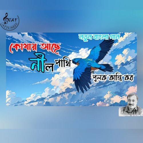 Kothay Achhe Nil Pakhi