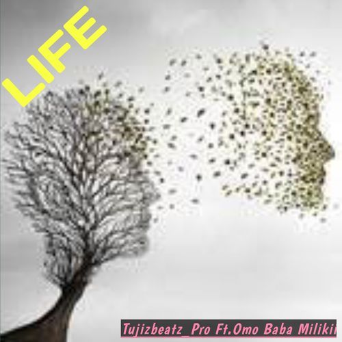 Life (feat. Omo baba miliki) cover art