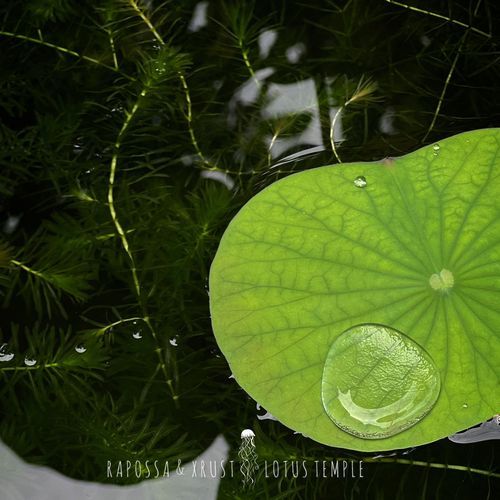 Lotus Temple (Extended Mix)