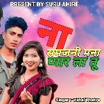 Na Samajani Mana Pyar La Tu