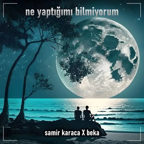 Ne Yaptığımı Bilmiyorum_poster_image