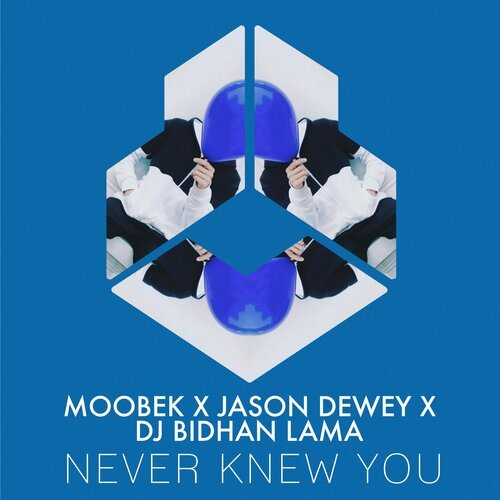 Never Knew You