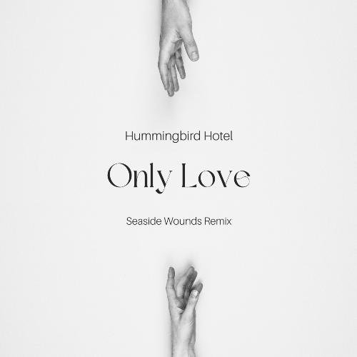 Only Love (Seaside Wounds Remix)_poster_image