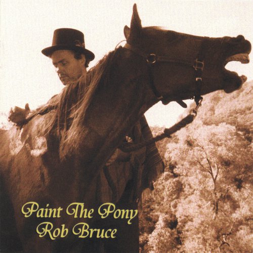 Paint The Pony