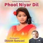 Phool Niyar Dil