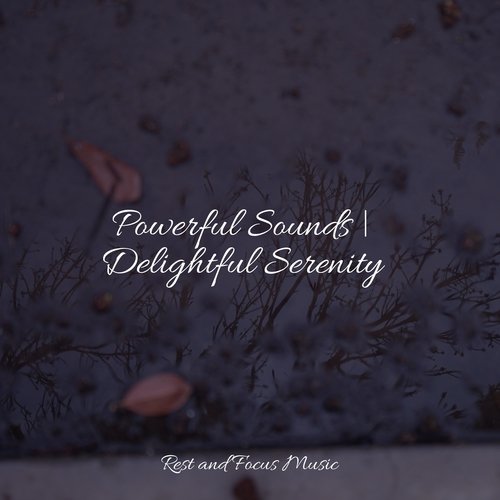 Powerful Sounds | Delightful Serenity