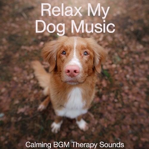 Relax My Dog Music: Calming BGM Therapy Sounds