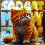 Sad Cat Meow Funk