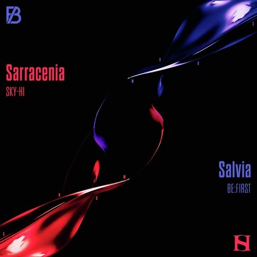 Sarracenia / Salvia_poster_image