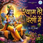 Shyam Tere Charno Me