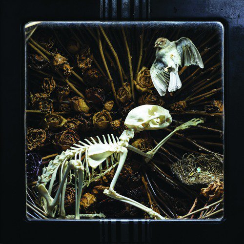 And Then the Rains Came