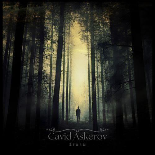 Storm cover art