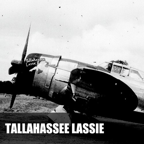 Tallahassee Lassie