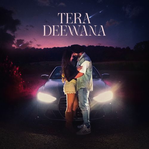 Tera Deewana