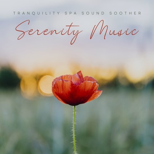 Serenity Academy cover art