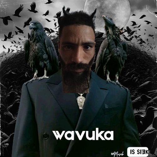 Wavuka cover art