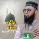 Ya Rasulullah Ya Habiballah