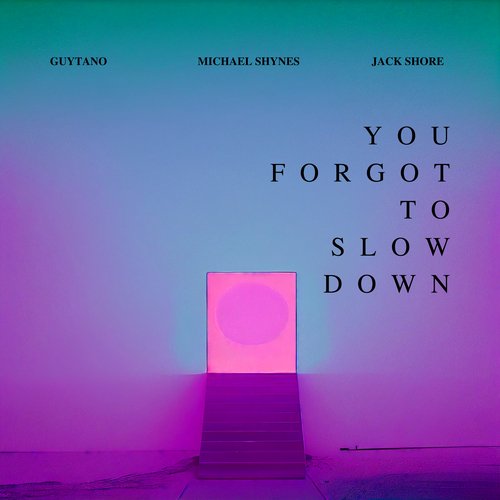 You Forgot To Slow Down cover art