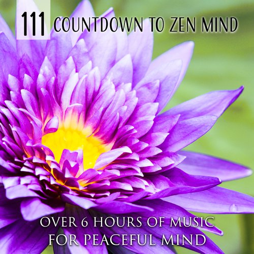 111 Countdown to Zen Mind (Over 6 Hours of Music for Peaceful Mind)