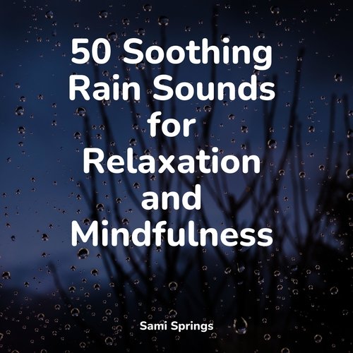 50 Soothing Rain Sounds for Relaxation and Mindfulness_poster_image