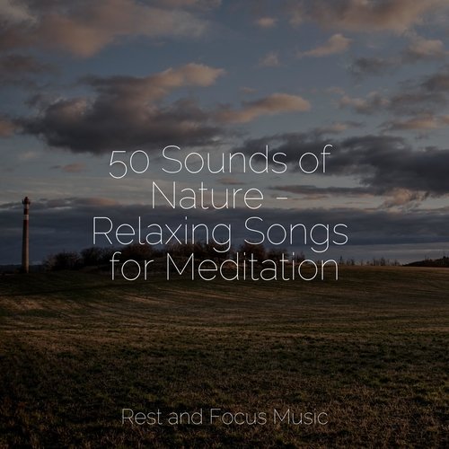 50 Sounds of Nature - Relaxing Songs for Meditation_poster_image