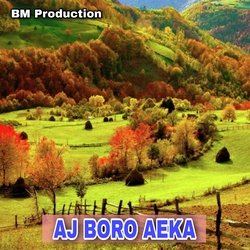 AJ BORO AEKA-XT0-SDdhc0E