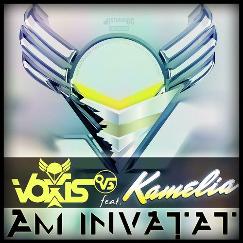 Am invatat_poster_image