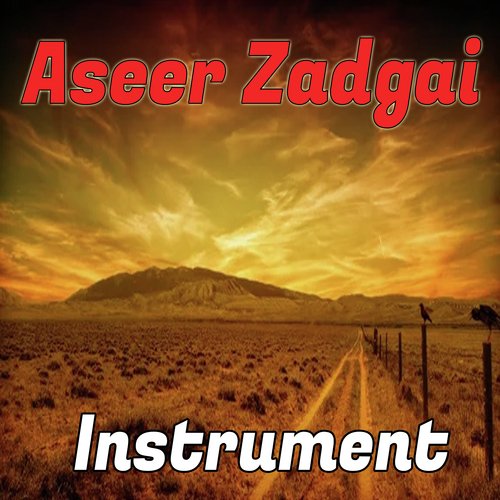 Aseer Zadgai (Instrumental)_poster_image