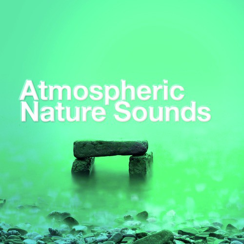 Atmospheric Nature Sounds