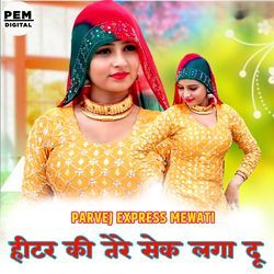 हिटर कि तेरे सेक लगा दु