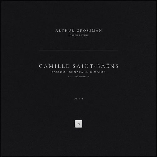 Bassoon Sonata in G Major, Op. 168: I. Allegro moderato