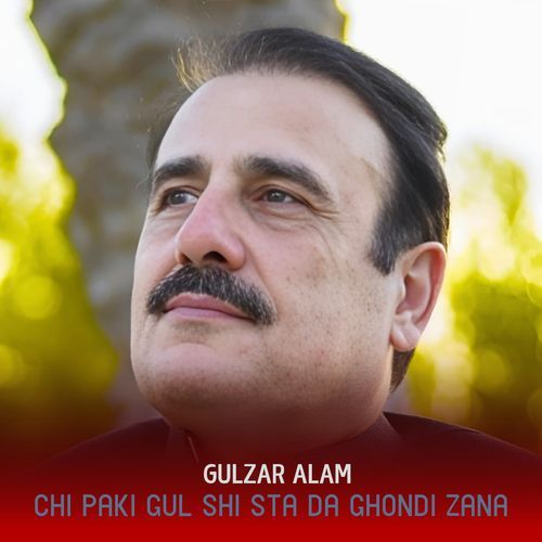 Chi Paki Gul Shi Sta Da Ghondi Zana