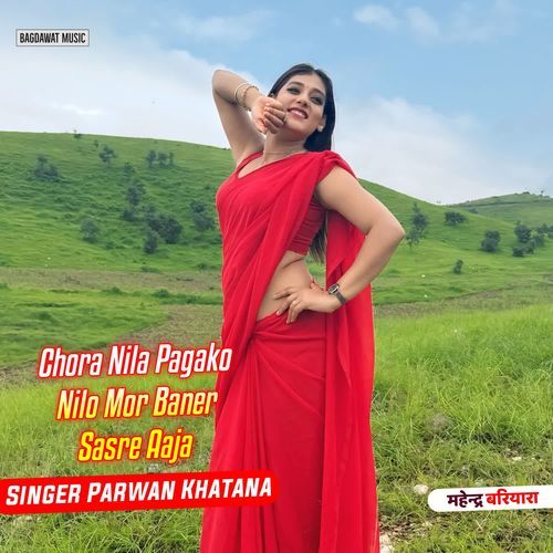 Chora Nila Pagako Nilo Mor Baner Sasre Aaja