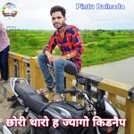 Chori Tharo He Jyago Kidnap (Meenawati)