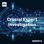 Crucial Expert Investigation