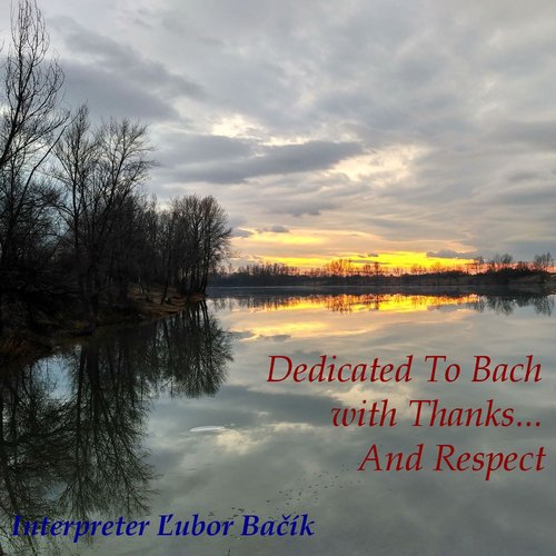 Dedicated to Bach XIII, Pt. 1