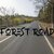 Forest Road