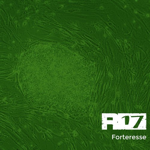 Forteresse (Remix) cover art