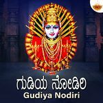 Gudiya Nodiri
