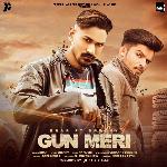 Gun Meri