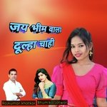 Jay Bheem Wala Dulha Chahi