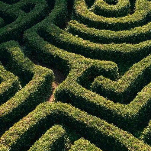LOVE MAZE II