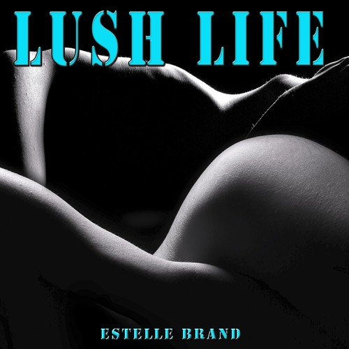 Lush Life (Remake Remix to Zara Larsson)
