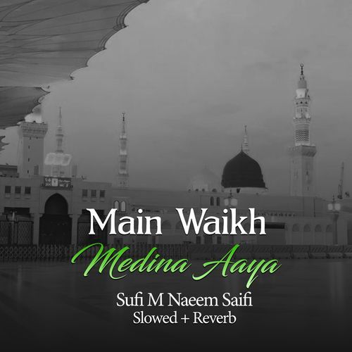 Main Waikh Medina Aaya (Lofi-Mix)