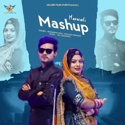 Marwadi Mashup-MiwlQjNCfGw