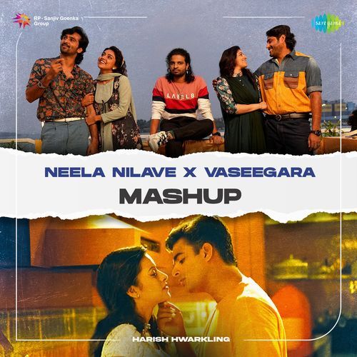 Neela Nilave X Vaseegara - Mashup