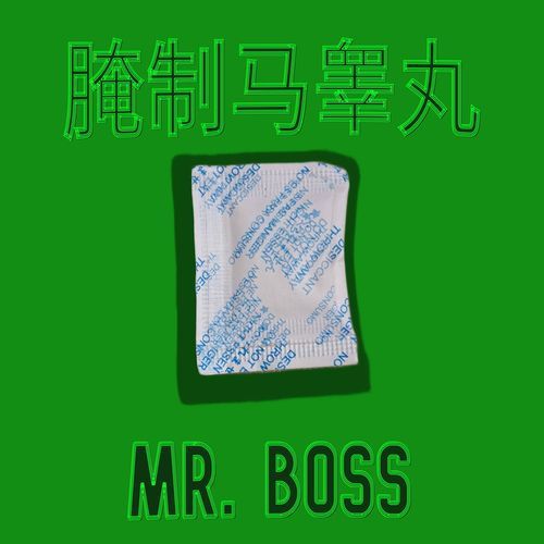 PA (Mr. Boss) [feat. Jim Baron, Terrence the Bug & chip 444) cover art
