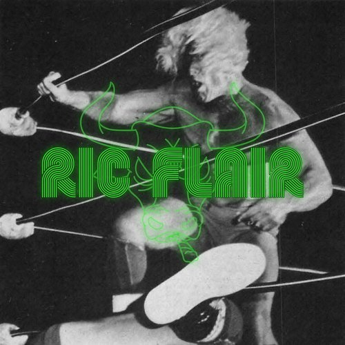 RIC FLAIR_poster_image