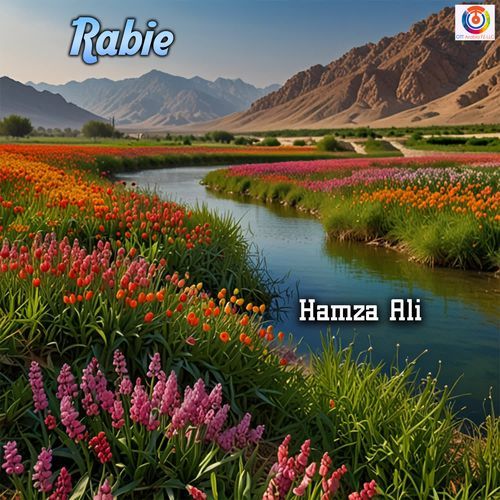 Rabie - Hamza Ali