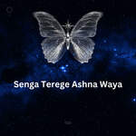 Senga Terege Ashna Waya